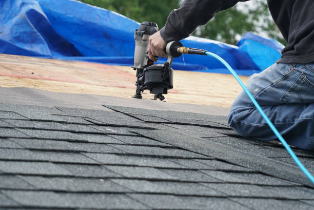 Best Roof Gutter Cleaning  in Eureka, CA